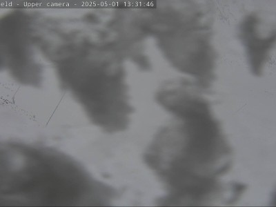 cam2 250501 1331