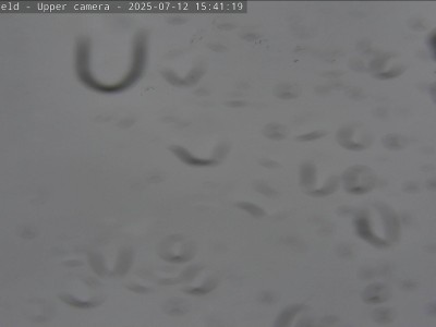 cam3 250712 1541